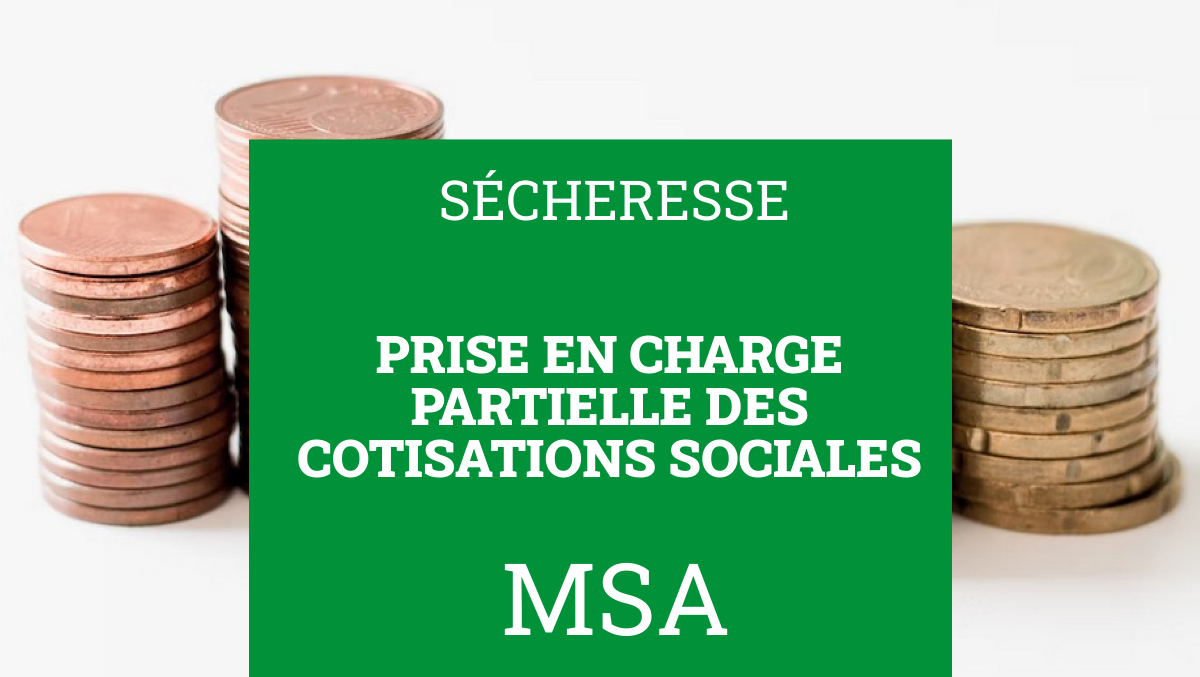 Msa Prise En Charge Partielle Des Cotisations Sociales Chambre D